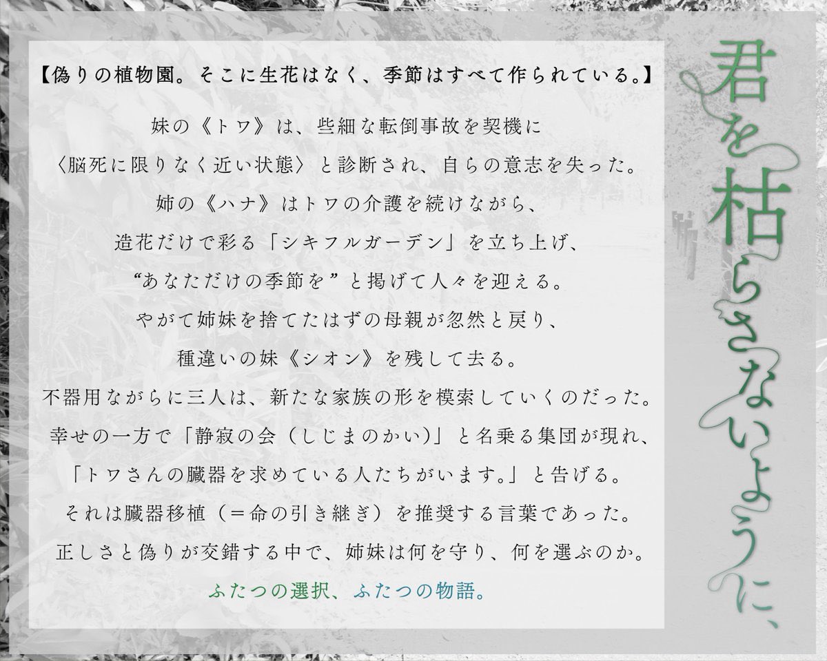 【舞台】2025年12/3(水)~12/7(日) 『君を枯らさないように、』出演決定！